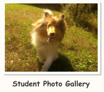 Student Photo Gallery