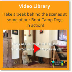 Video Library Take a peek behind the scenes at some of our Boot Camp Dogs  in action!