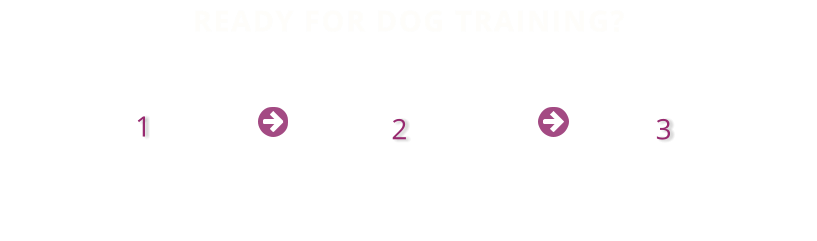 READY FOR DOG TRAINING?  1 Tell Us About Your Dog  2 Tell Us About Your Training Goals & Challenges  3 Find Out How We Can Help